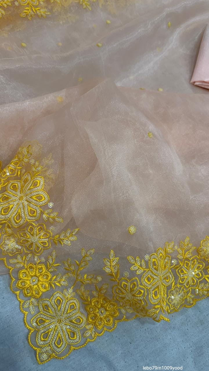 Heavy Thread Zari With Sequnce Border Exclusive Pattern Work Saree