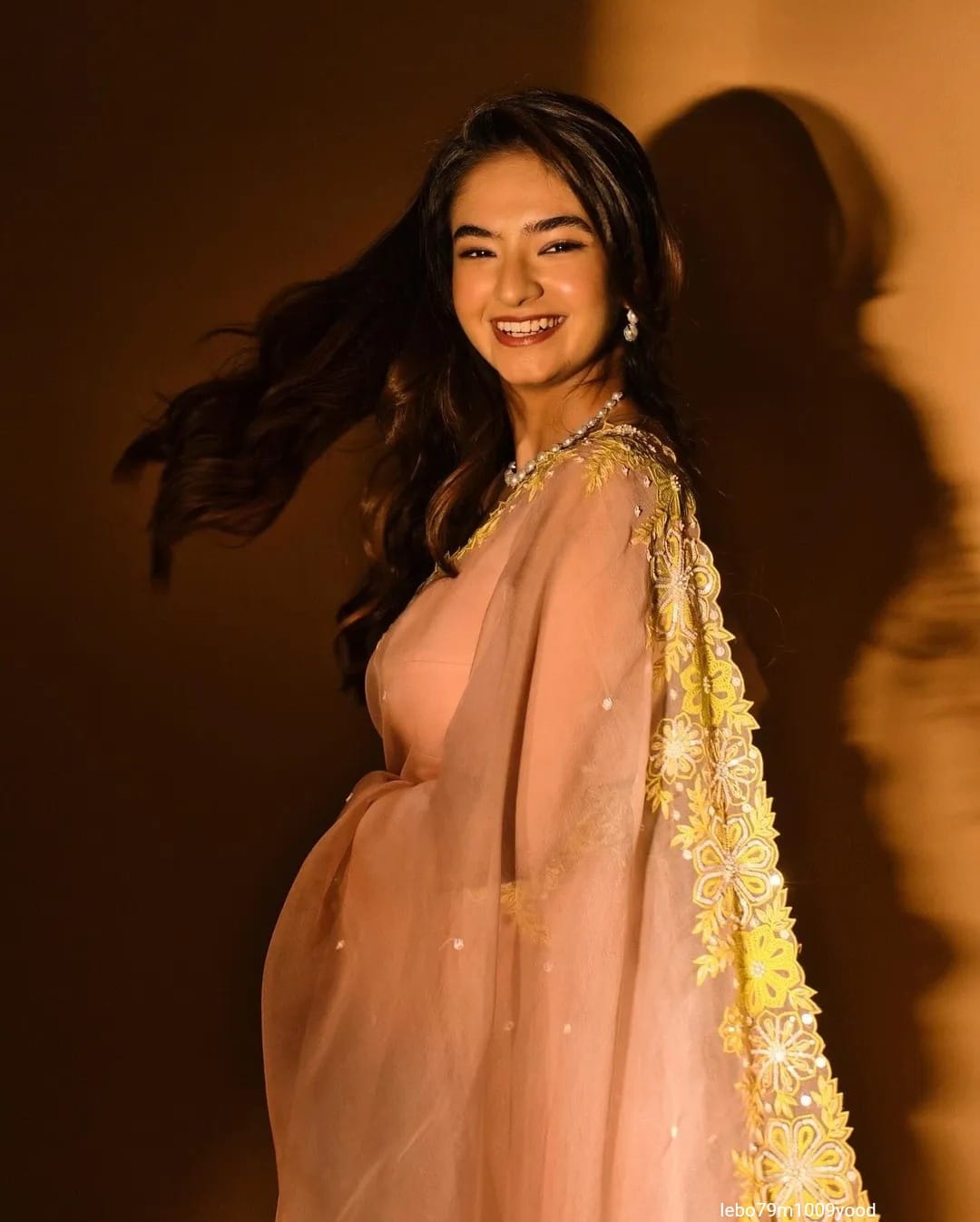 Heavy Thread Zari With Sequnce Border Exclusive Pattern Work Saree