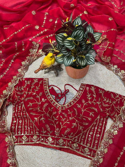 Designer Embroidery work of 3mm Sequins with jarl Thread with Cutwork Border Saree