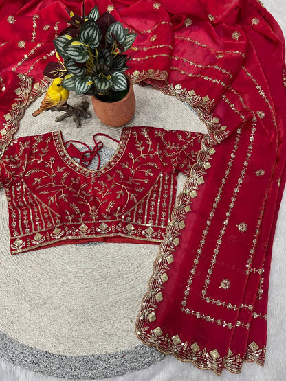 Designer Embroidery work of 3mm Sequins with jarl Thread with Cutwork Border Saree