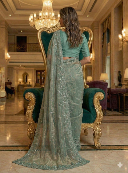 EMBERODERY WORK AND SEQUANCE WORK SAREE