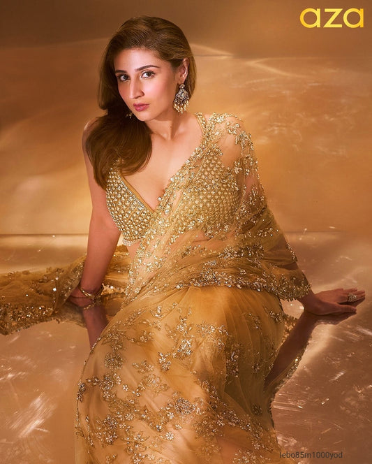 HEAVY NYLONE BUTTERFLY NET SAREE