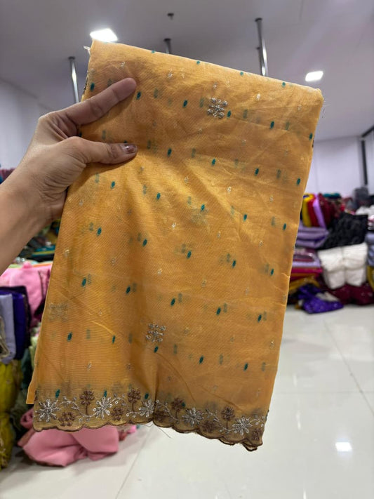 Soft Tissue  silk organza saree  with embroidery Sequence work with matching embroidery work blouse